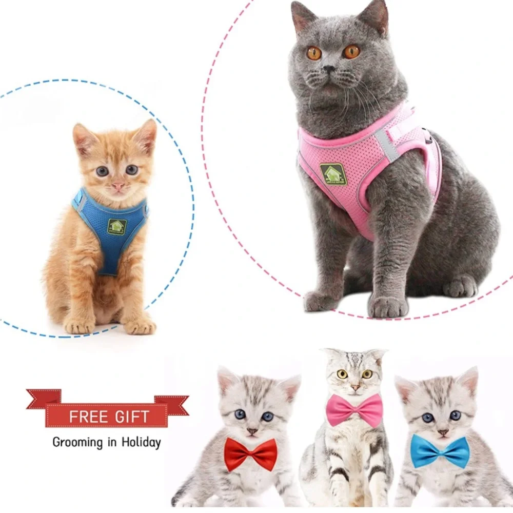 🆕 Love Has support pink pet harness & bow tie 630